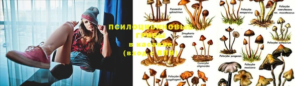 тгк Алексин
