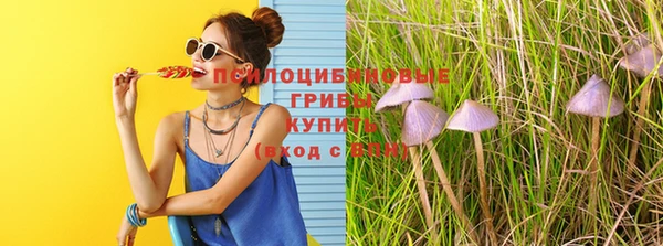 тгк Алексин
