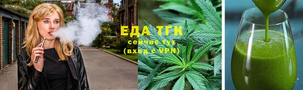 тгк Алексин
